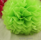 White Paper Lanterns & Green Pom Poms