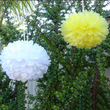 30pcs Tissue Paper Pom Poms - Yellow White