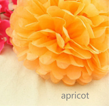 White Paper Lanterns & Apicot Pom Poms