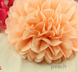 White Paper Lanterns & Peach Pom Poms