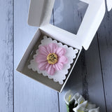 Clear Window Favor Boxes Gift Packing Box