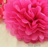 Pink Paper Lanterns & Hot Pink Pom Poms
