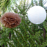 White Paper Lanterns & Brown Pom Poms