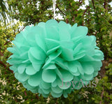 30pcs Tissue Paper Pom Poms - Grey White Tiffany