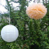 White Paper Lanterns & Peach Pom Poms