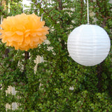 White Paper Lanterns & Apicot Pom Poms
