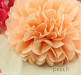 30pcs Tissue Paper Pom Poms - Pink White Peach