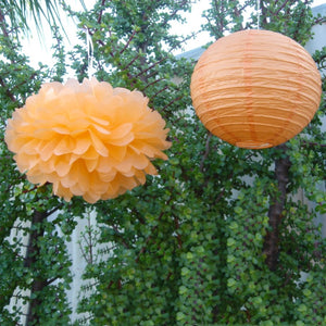 Orange Paper Lanterns & Pom Poms